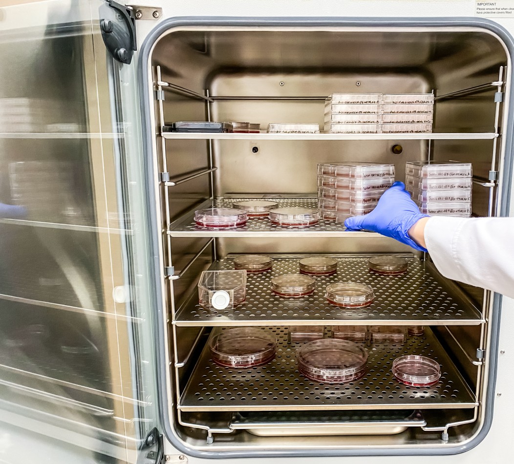 CO2 Incubator monitoring